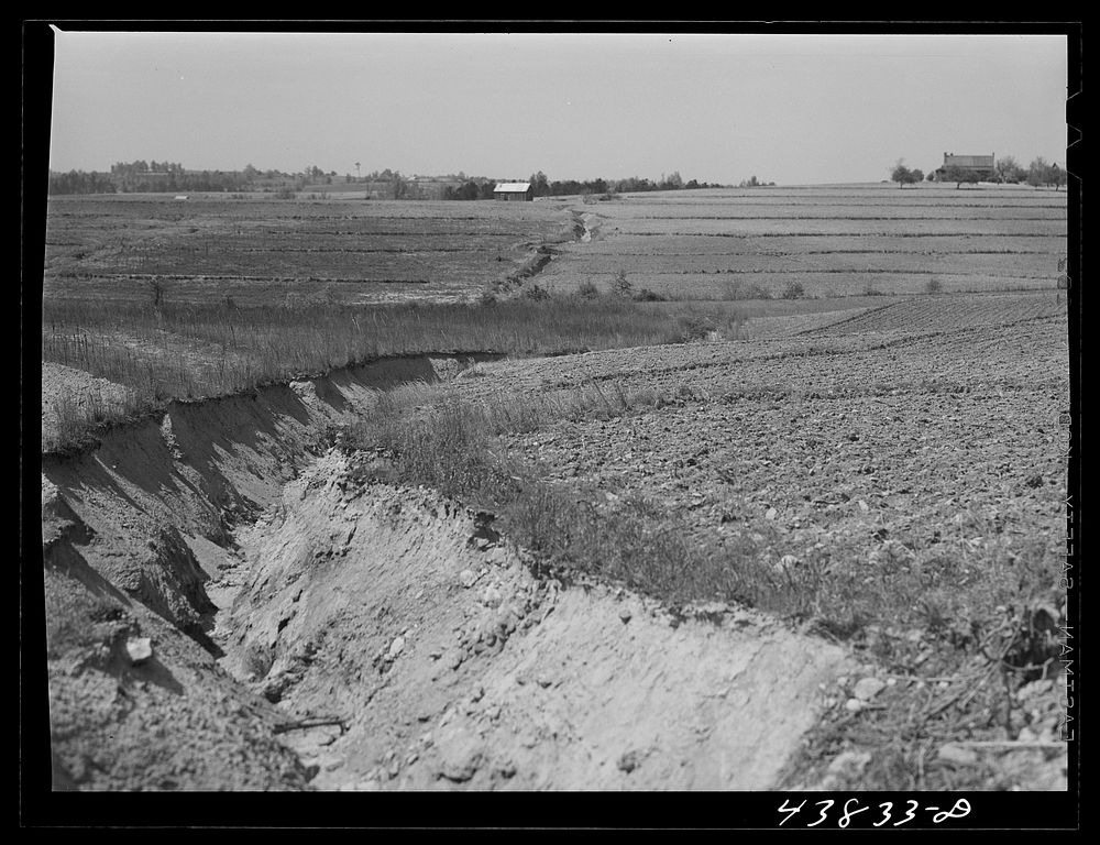 Landscape showing erosion. North of Franklin, Heard County, Georgia. Sourced from the Library of Congress.