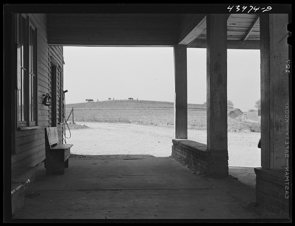 View from the general store in Centralhatchee. Heard County, Georgia. Sourced from the Library of Congress.