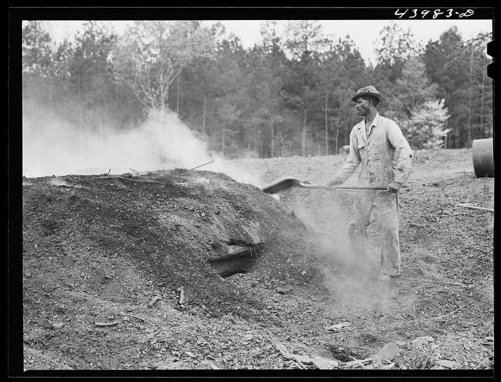 [Untitled photo, possibly related to: Henry Dukes,  FSA (Farm Security Administration) borrower, burning charcoal.…
