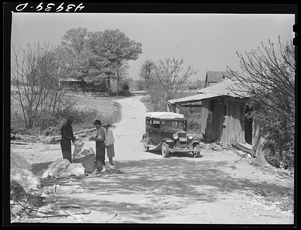 Surplus cotton used to make mattresses in Centralhatchee. Heard County, Georgia. Sourced from the Library of Congress.