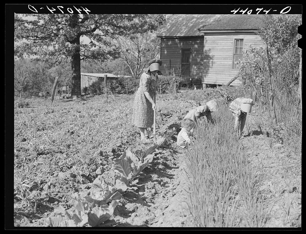 Mrs. Lemuel Smith and the children working in the garden. Carroll County, Georgia. Sourced from the Library of Congress.