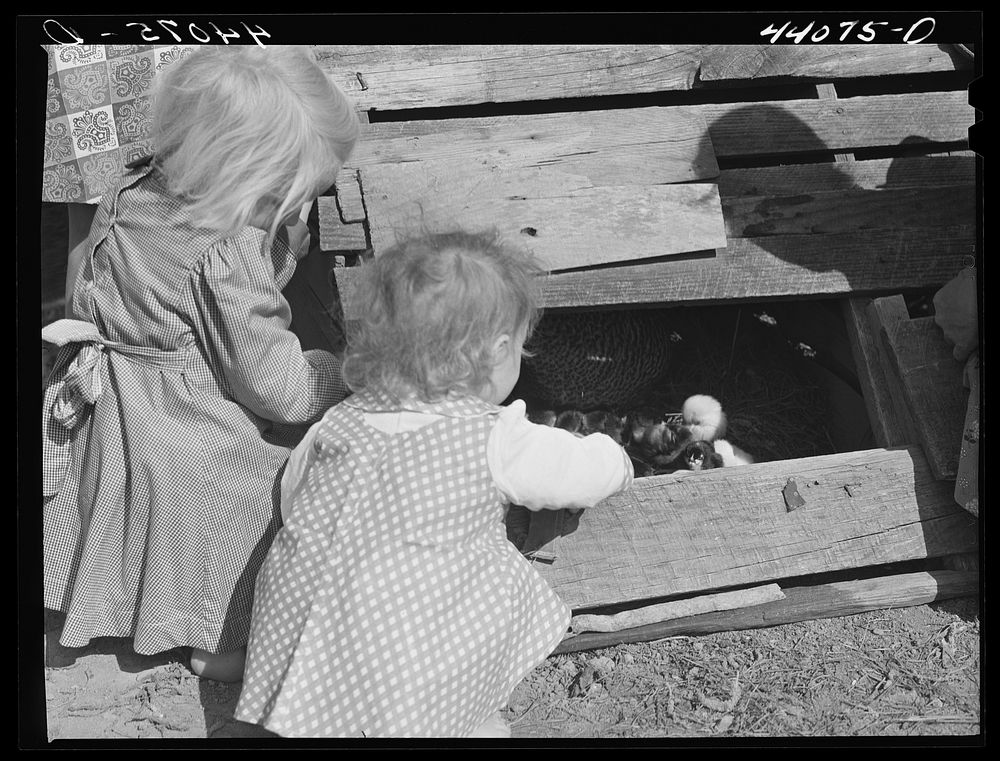 Two of the Smith family children feeding the chickens. Carroll County, Georgia. Sourced from the Library of Congress.