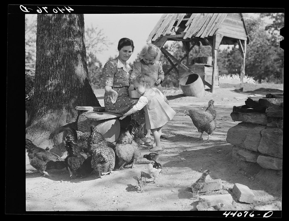 Mrs. L. Smith and two of the children feeding the chickens. Carroll County, Georgia. Sourced from the Library of Congress.