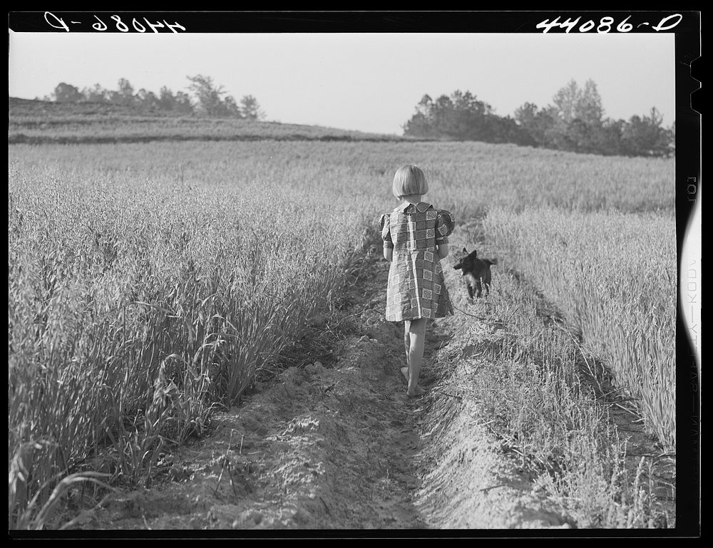 Iola Smith and her dog walking through a field on the Smith farm in Carroll County, Georgia. Sourced from the Library of…