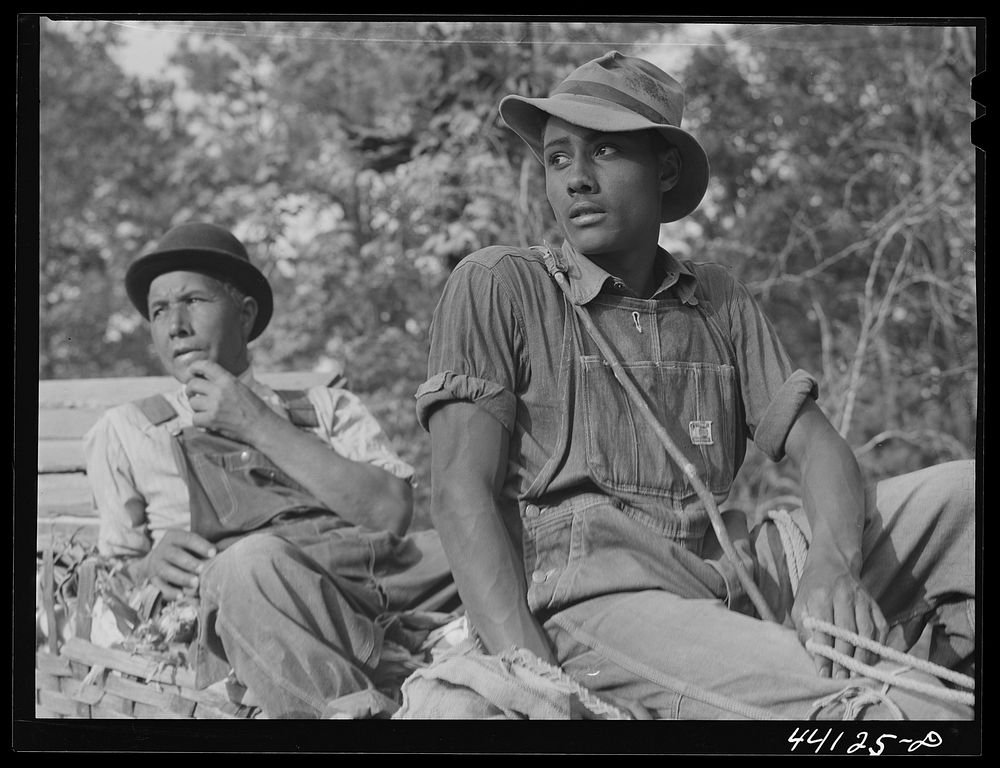 Mr. Frank Barnett and his son.  farmer near Scull Shoals who is part Cherokee Indian. Greene County, Georgia. Sourced from…