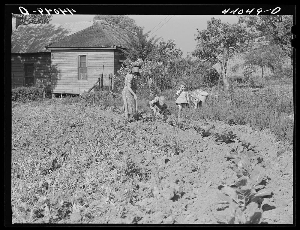 [Untitled photo, possibly related to: Mrs. Lemuel Smith and the children working in the garden. Carroll County, Georgia].…