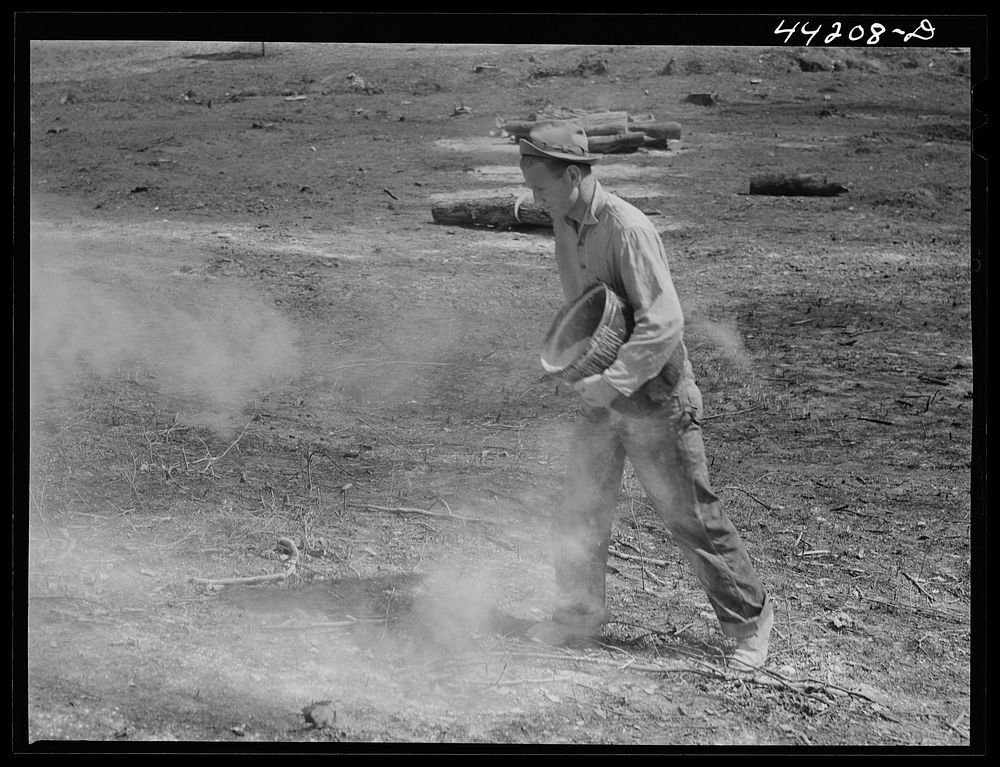 [Untitled photo, possibly related to: Liming a FSA (Farm Security Administration) pasture. Greene County, Georgia]. Sourced…
