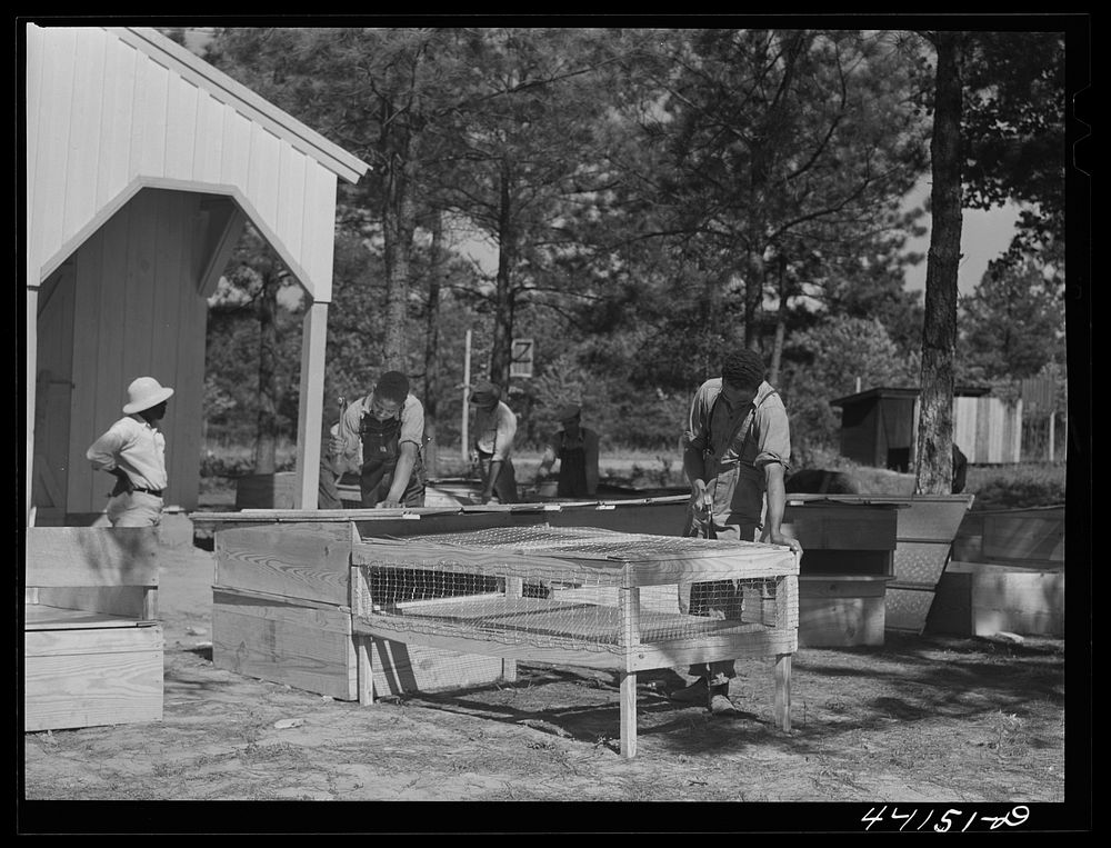 Building brooders as a part of the Food for Defense program of FSA (Farm Security Administration) at the Jones Central High…