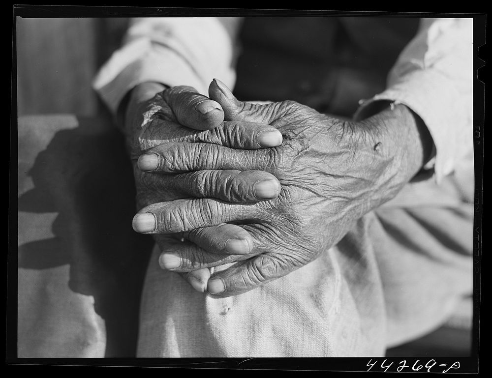 [Untitled photo, possibly related to: Hands of Mr. Henry Brooks, ex-slave. Parks Ferry Road, Greene County, Georgia].…