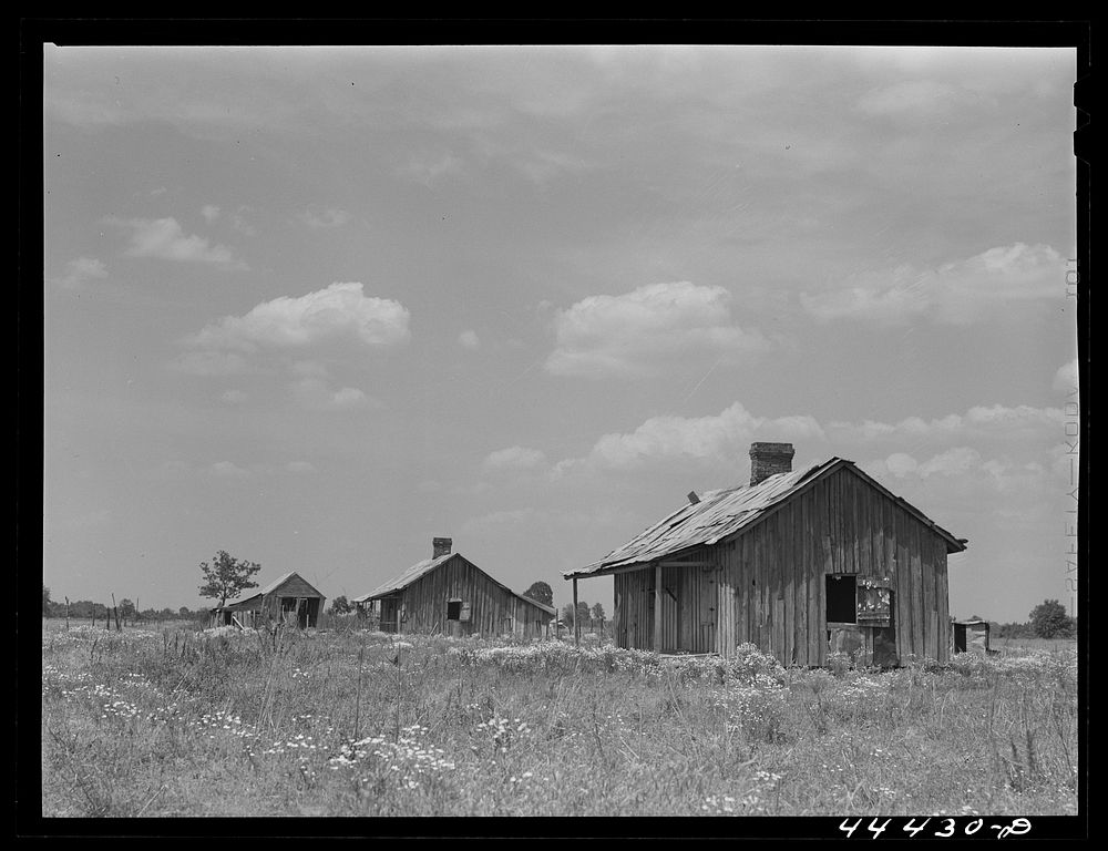 Abandoned houses in the Black Prairie region. Hale County, Alabama. Sourced from the Library of Congress.