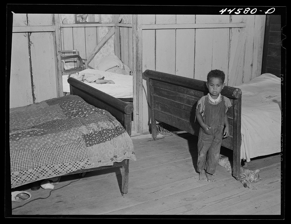Children of a  FSA (Farm Security Administration) borrower. Greene County, Georgia. Sourced from the Library of Congress.