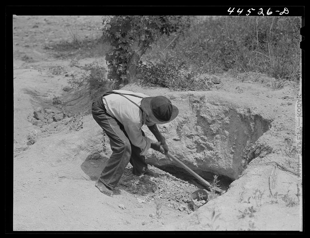 Digging for white clay which some people eat. Near Siloam, Greene County, Georgia. Sourced from the Library of Congress.
