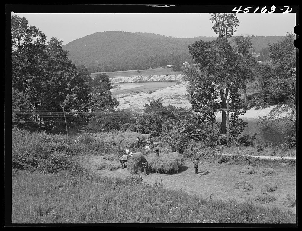 Gathering hay on a farm near Townsend, Vermont. Sourced from the Library of Congress.
