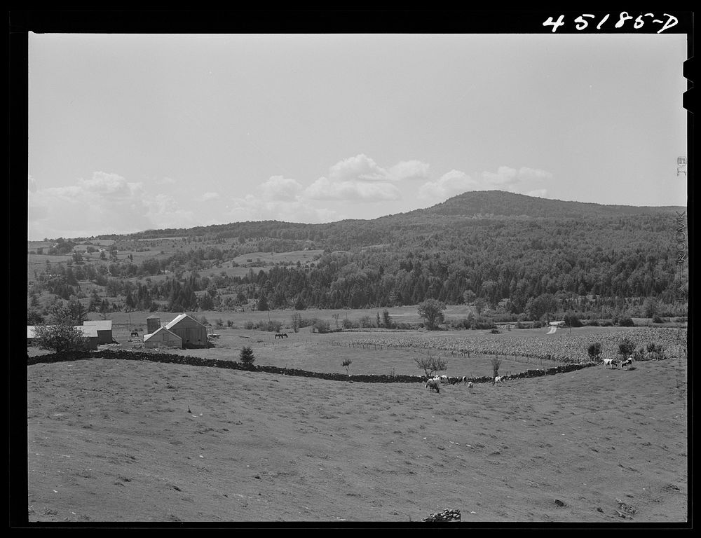 [Untitled photo, possibly related to: Landscape near Springfield, Vermont]. Sourced from the Library of Congress.
