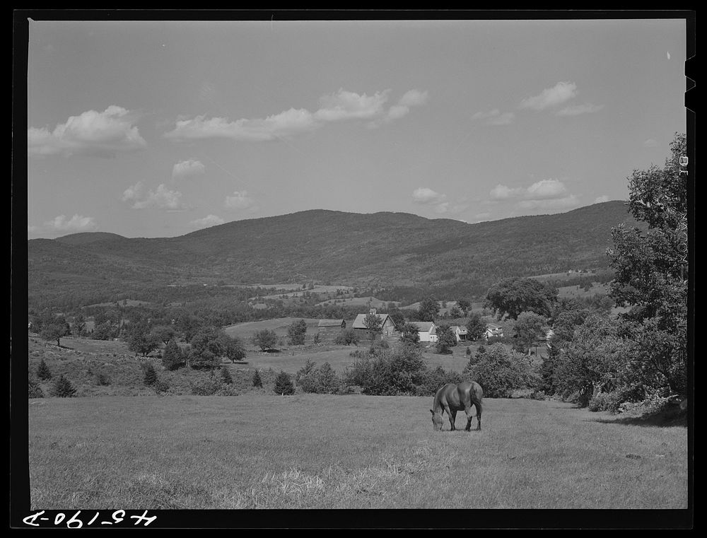 Landscape near South Londonderry, Vermont. Sourced from the Library of Congress.