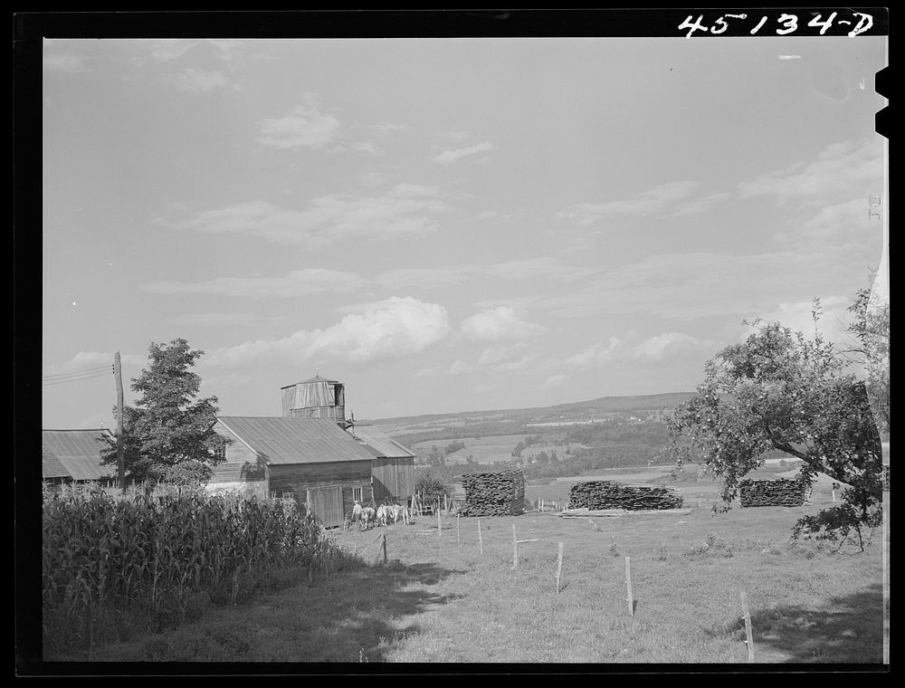 Farm landscape near Bellows Falls, Vermont. Sourced from the Library of Congress.