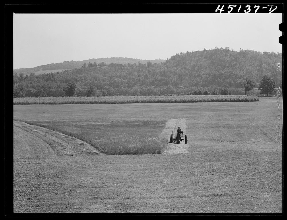 Cutting hay on a flat farm in the Connecticut River valley near Bellows Falls, Vermont. Sourced from the Library of Congress.