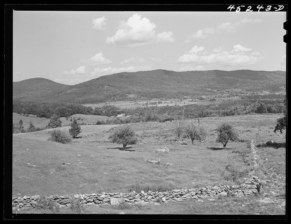 Landscape and stone fence near Weston, Vermont. Sourced from the Library of Congress.