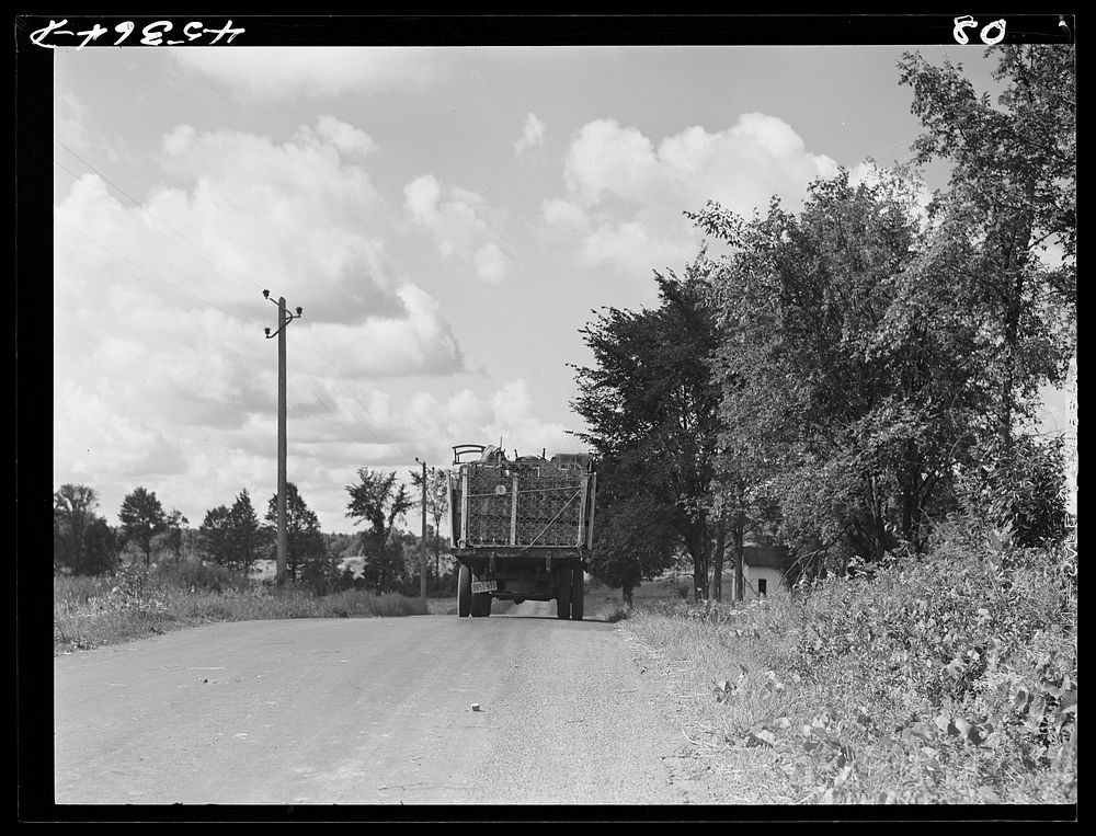 A truck on the road in Pine camp expansion area moving out a family's belongings. New York. Sourced from the Library of…