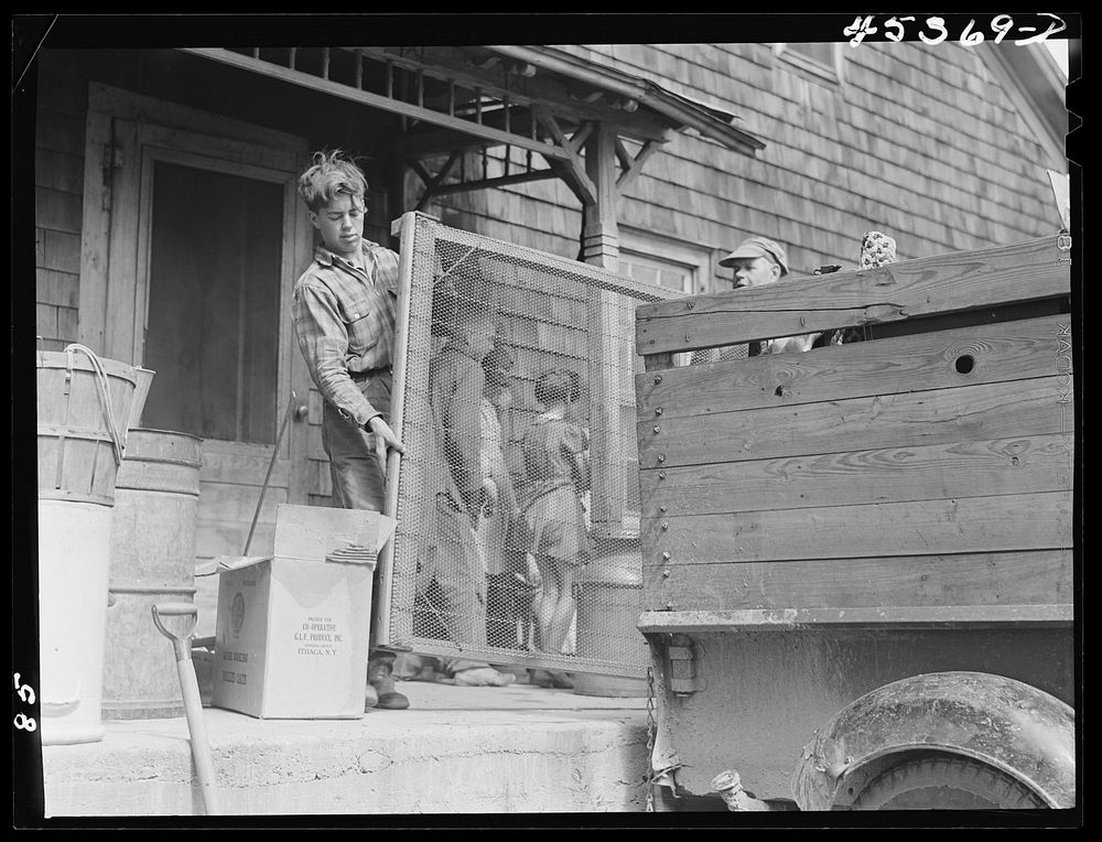Almond Drake and his family moving out of their farm in the Pine Camp expansion area. Near Leraysville, New York. Sourced…
