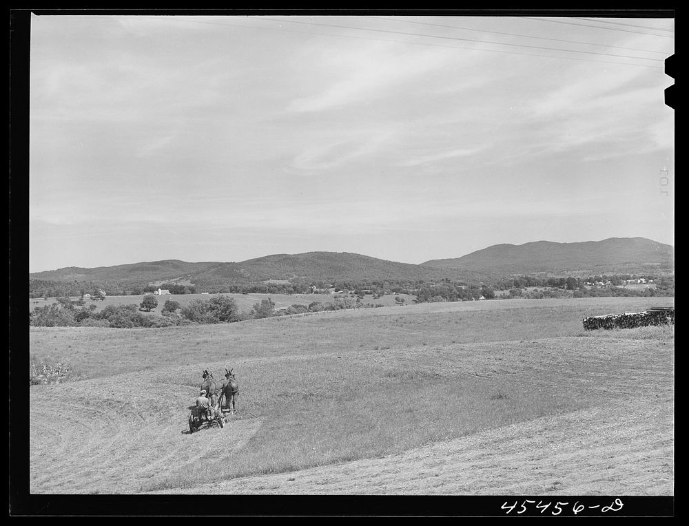 Cutting hay near Pittsford, Vermont. Sourced from the Library of Congress.