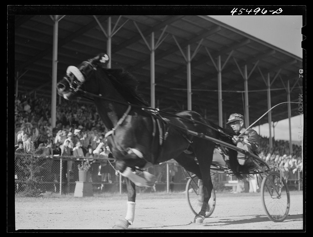 Rutland, Vermont. Sulky races at the Rutland Fair. Sourced from the Library of Congress.