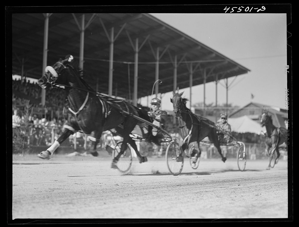 The sulky races at the Rutland Fair, Vermont. Sourced from the Library of Congress.