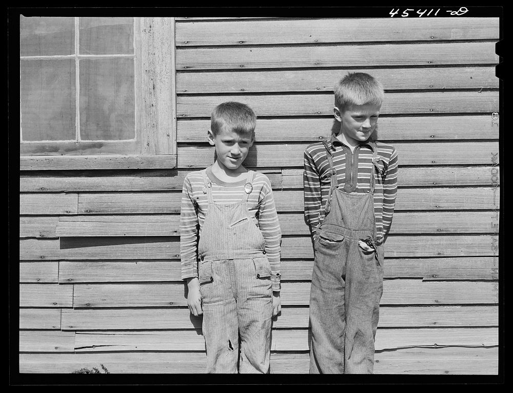 Children of a dairy farmer near Rutland, Vermont. Sourced from the Library of Congress.
