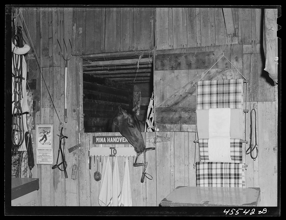 One of the entrants in the sulky races in her stable at the Rutland Fair, Vermont. Sourced from the Library of Congress.