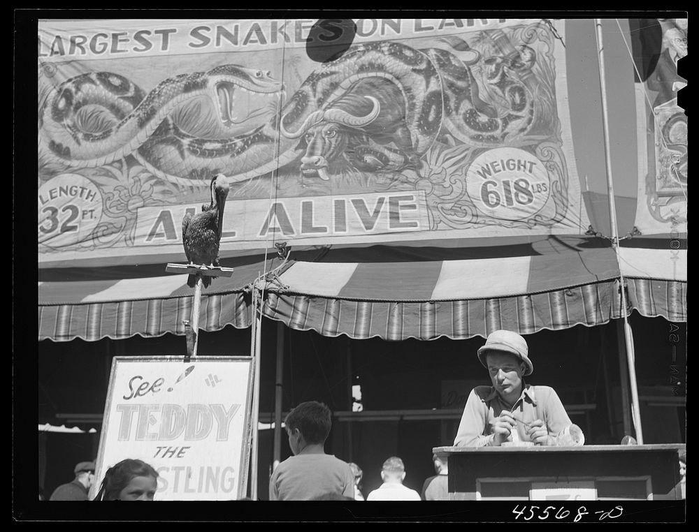 [Untitled photo, possibly related to: Barker at the fairgrounds at Rutland Fair, Vermont]. Sourced from the Library of…