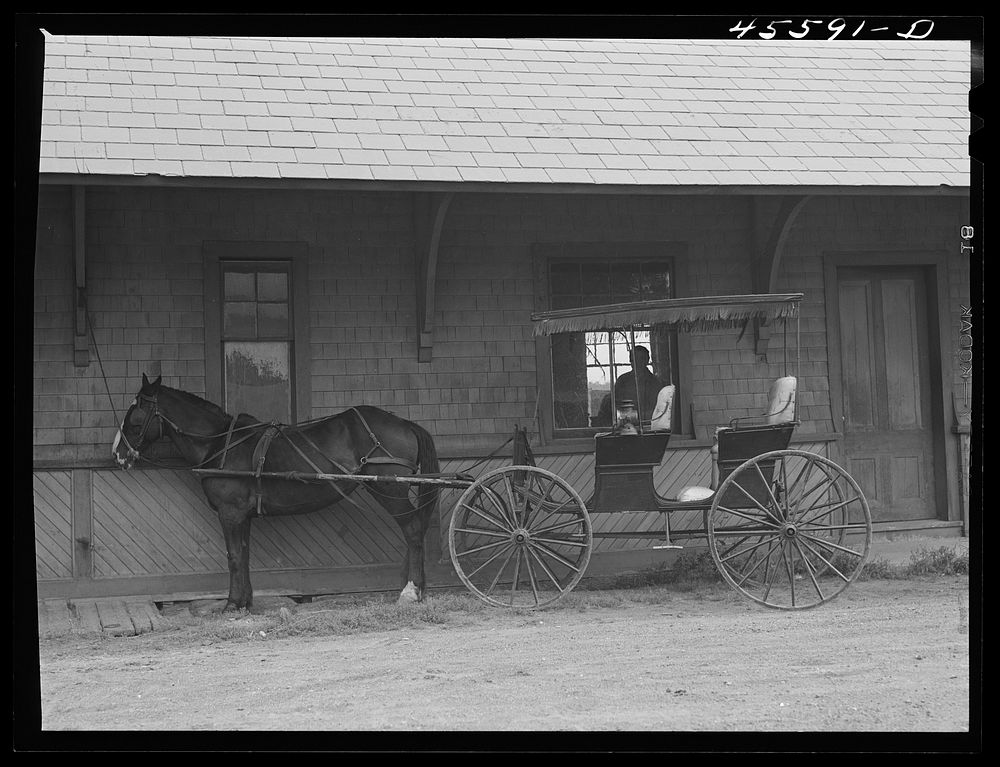 [Untitled photo, possibly related to: Horse and buggy which is used for carrying mail at South Hero. Grand Isle County…