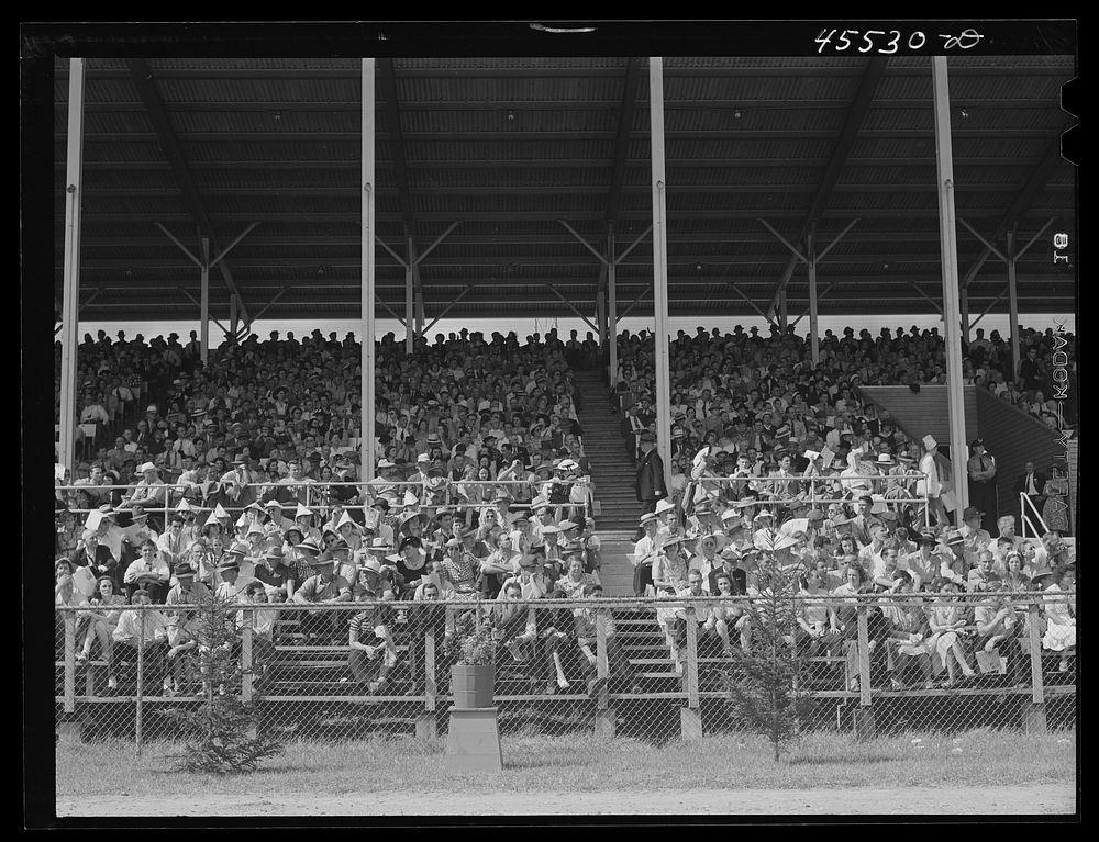 People in the grandstand watching the sulky races at the Rutland Fair, Vermont. Sourced from the Library of Congress.