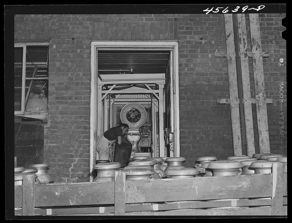 [Untitled photo, possibly related to: Weighing milk at the Burlington cooperative milk bottling plant. Burlington, Vermont].…