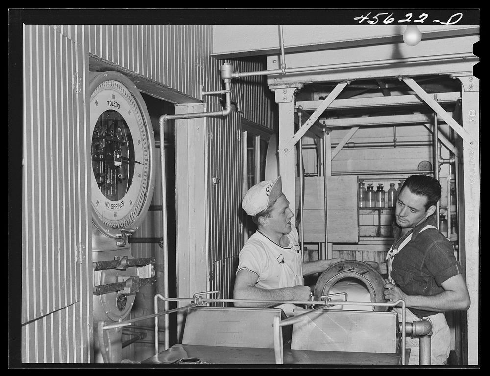 Weighing milk at the Burlington cooperative milk bottling plant. Burlington, Vermont. Sourced from the Library of Congress.