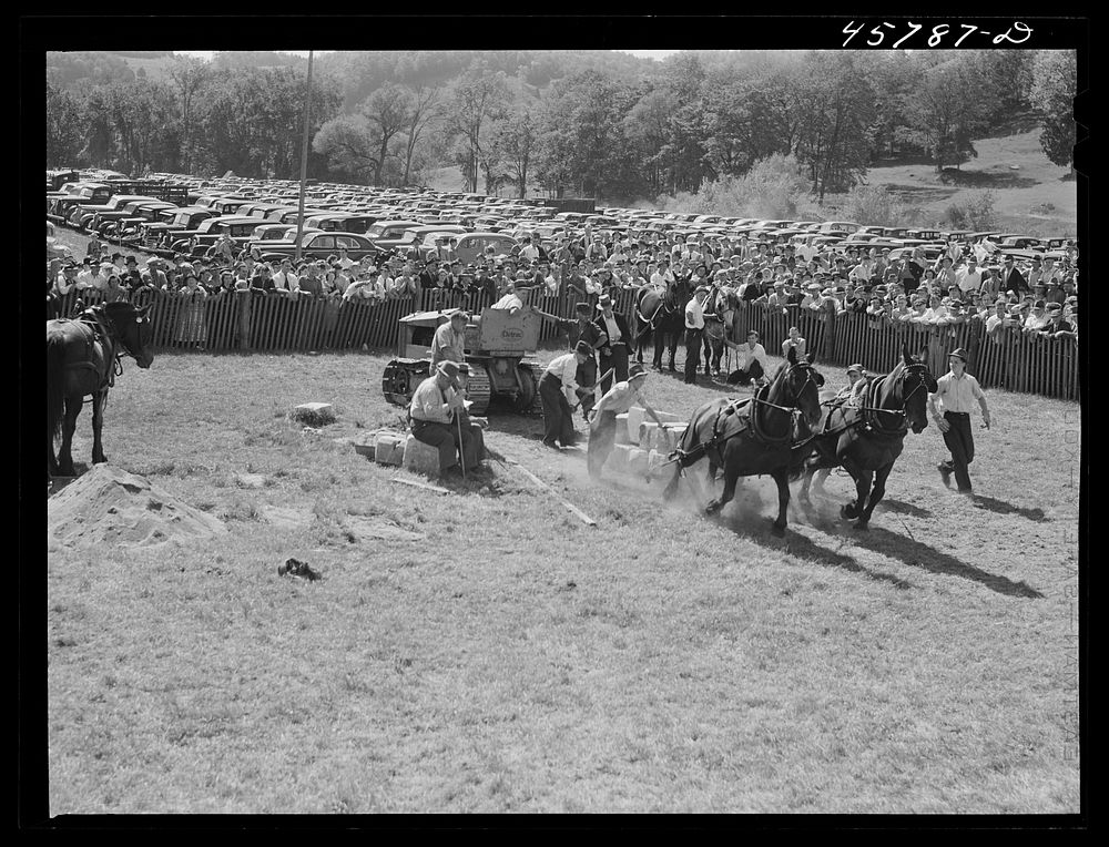 Weight-pulling contest for horses at the World's Fair at Tunbridge, Vermont. Sourced from the Library of Congress.