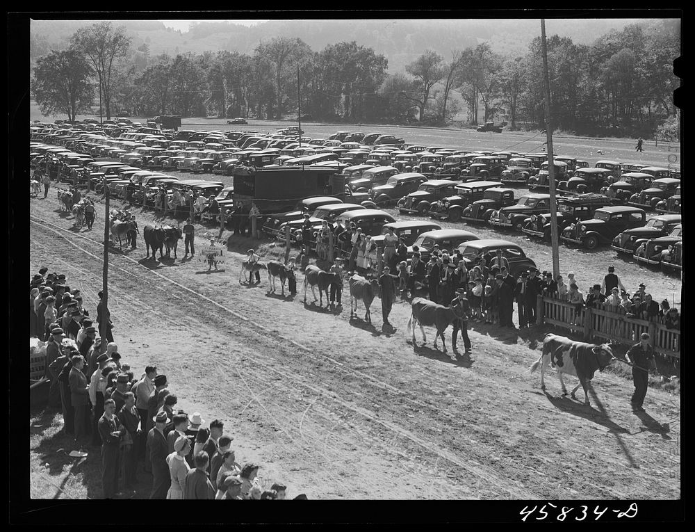 The parade at the World's Free Photo rawpixel