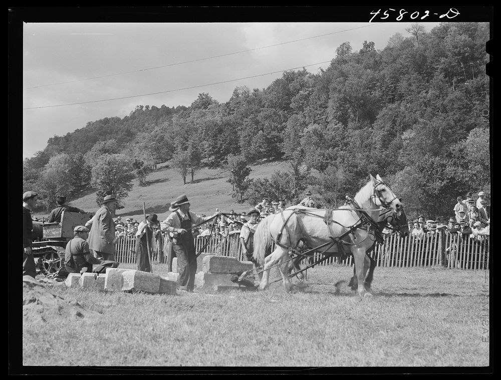 [Untitled photo, possibly related to: Weight-pulling contest for horses at the World's Fair. Tunbridge, Vermont]. Sourced…