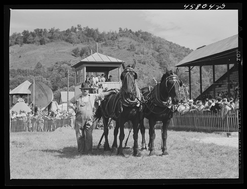 Vermont farmer with his team of horses which won the weight-pulling contest at the World's Fair. Tunbridge, Vermont. Sourced…