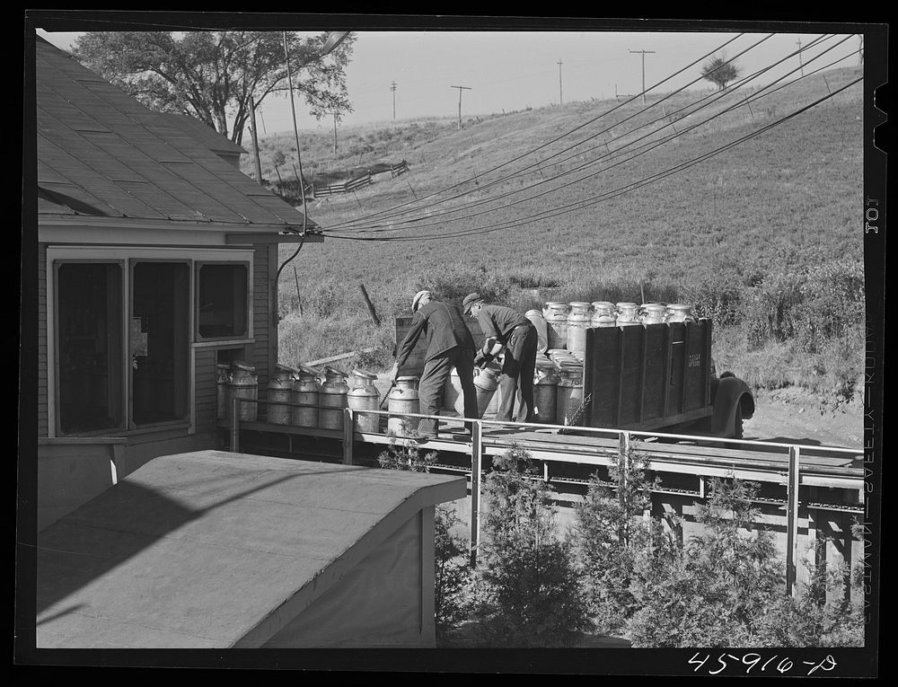 Farmer unloading milk cans at the United Farmers' Co-op Creamery. East Berkshire, Vermont. Sourced from the Library of…