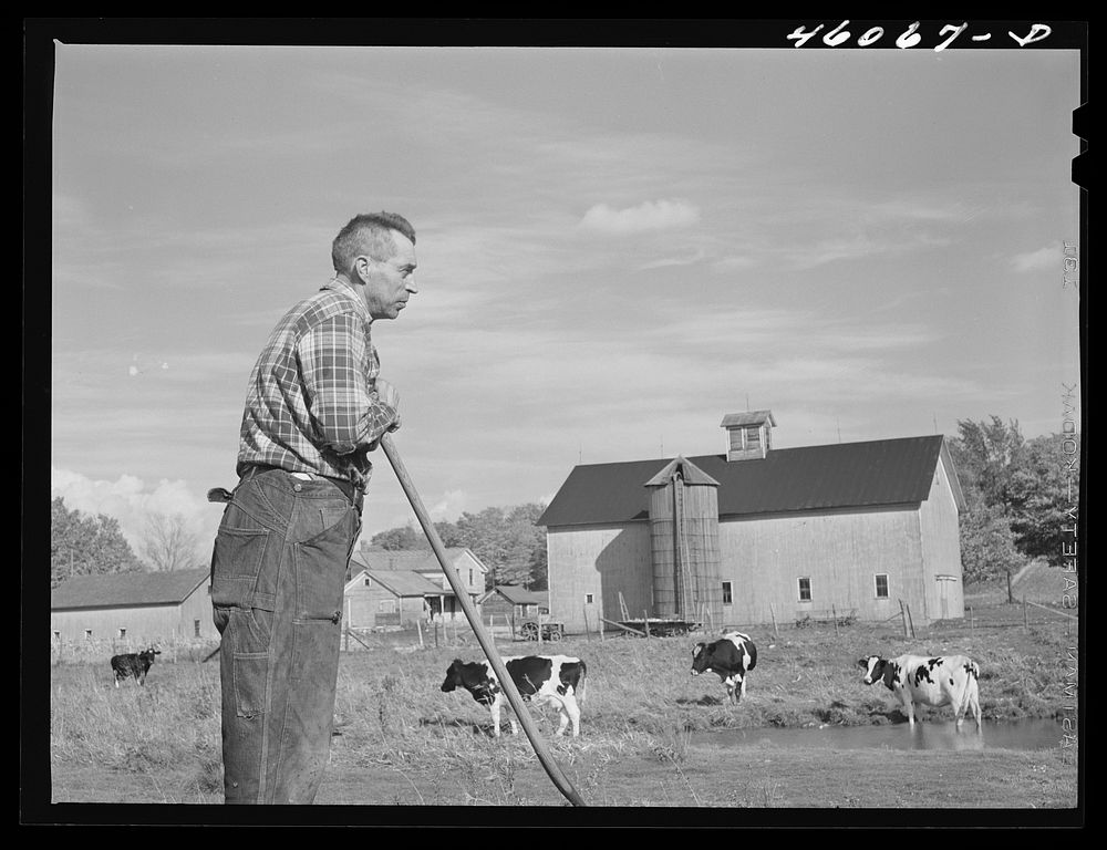 Mr. Dan Sampson formerly had a small farm in the Pine Camp Expansion area; now living on a (210) acre farm in South Rutland…