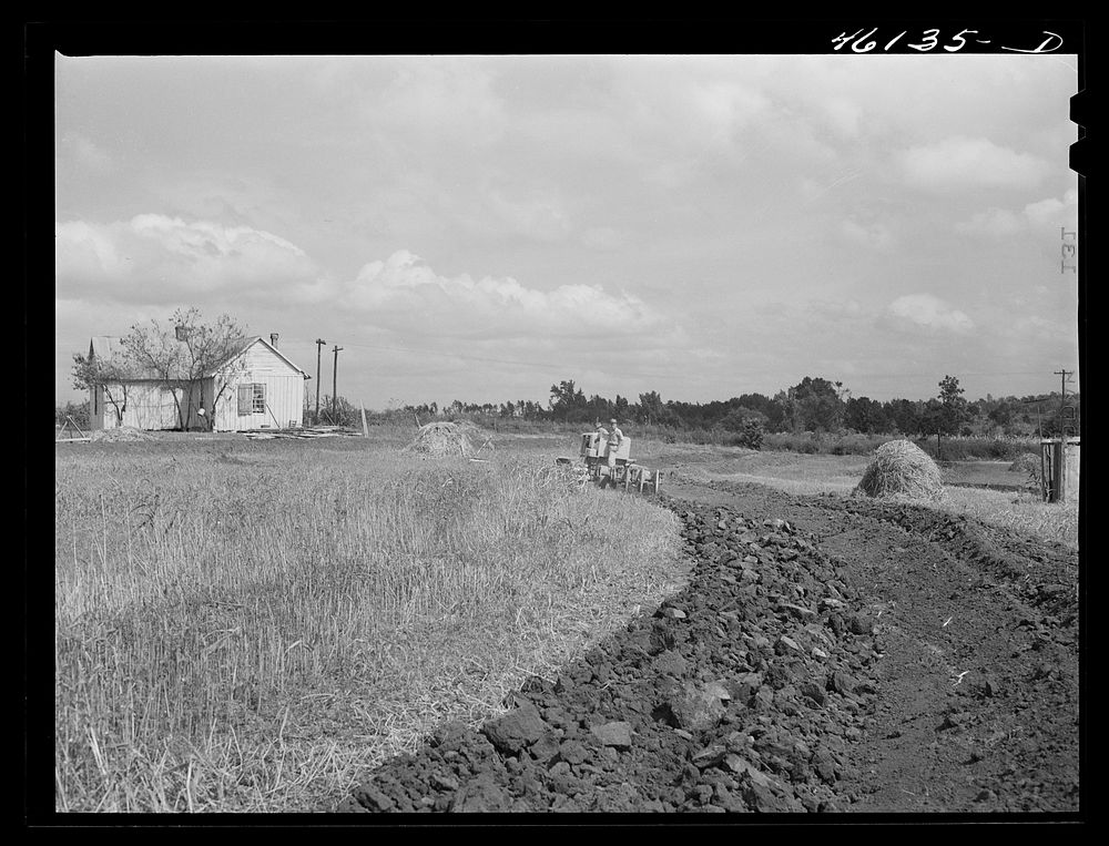 Greensboro, Greene County, Georgia (vicinity). Terracing a farm. Sourced from the Library of Congress.