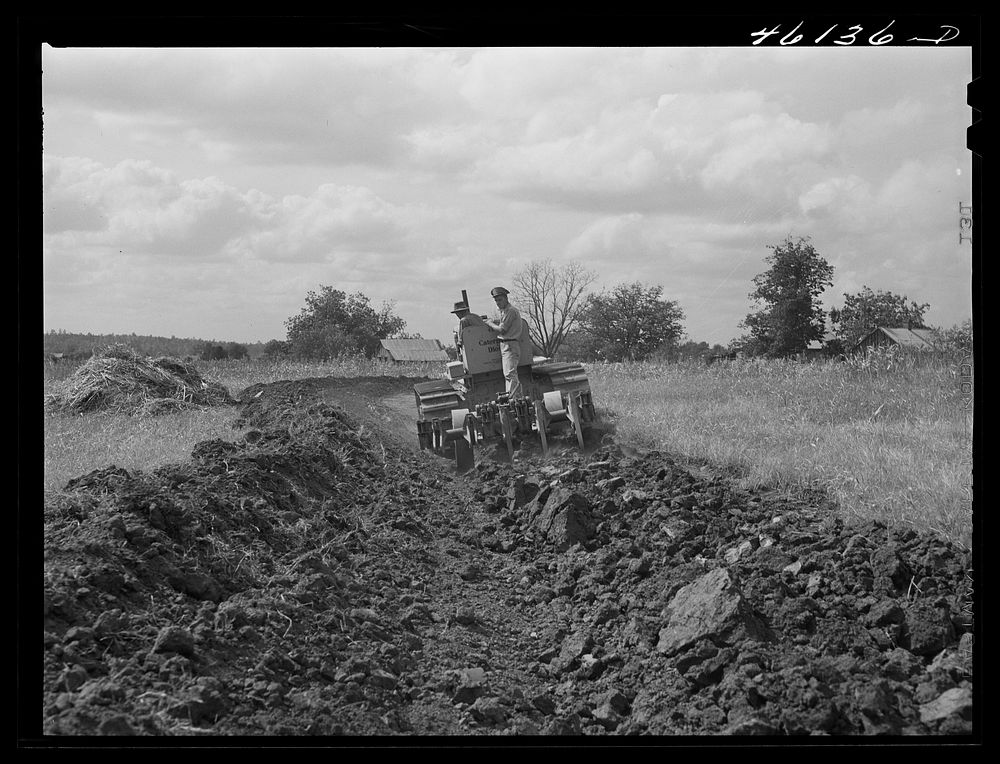Greensboro, Greene County, Georgia. Terracing a farm. Sourced from the Library of Congress.