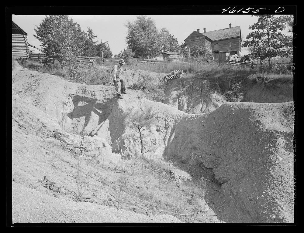 Greene County, Georgia. Severe gully erosion on a farm in the northwestern. Sourced from the Library of Congress.