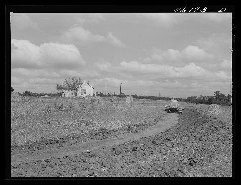 [Untitled photo, possibly related to: Greensboro, Greene County, Georgia (vicinity). Terracing a farm]. Sourced from the…