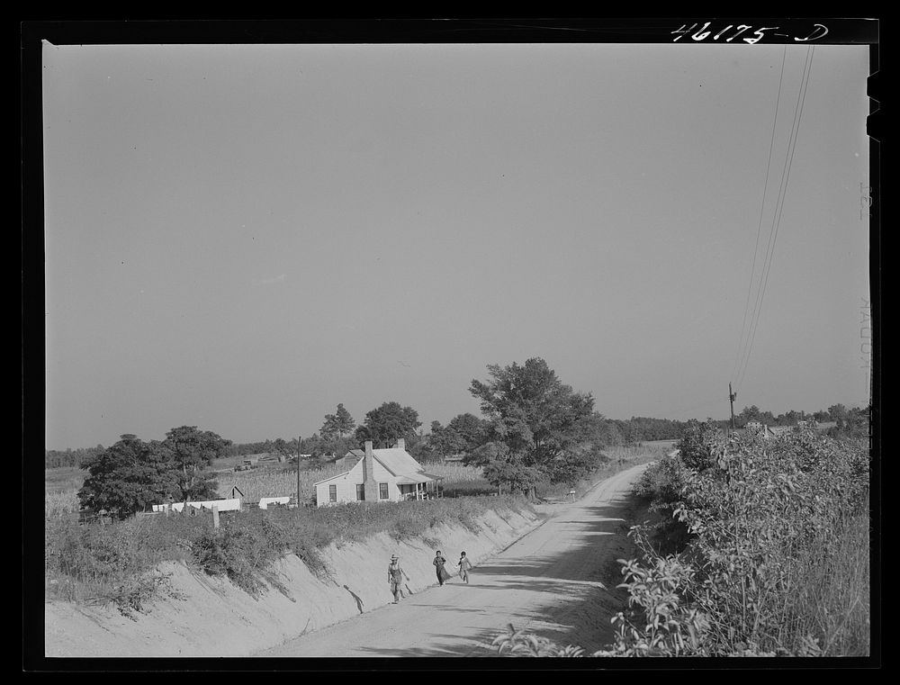 Siloam, Greene County, Georgia (vicinity). Newly creosoted house occupied by a  family along a road. Sourced from the…