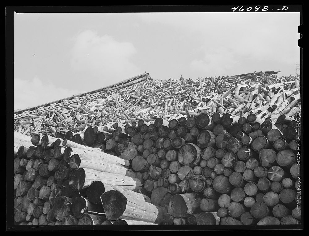 [Untitled photo, possibly related to: Wood pile outside the Mississquoi Corporation paper mill in Seldon Springs, Vermont].…
