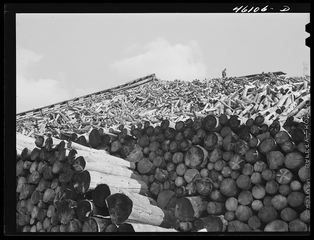 Wood pile outside the Mississquoi Corporation paper mill in Seldon Springs, Vermont. Sourced from the Library of Congress.