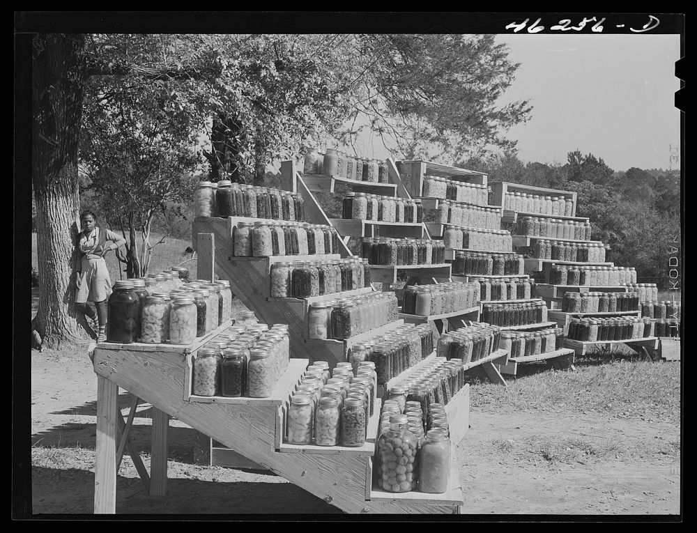 Penfield, Greene County, Georgia. Canned goods made by Doc and Julia Miller,  FSA (Farm Security Administration) clients.…