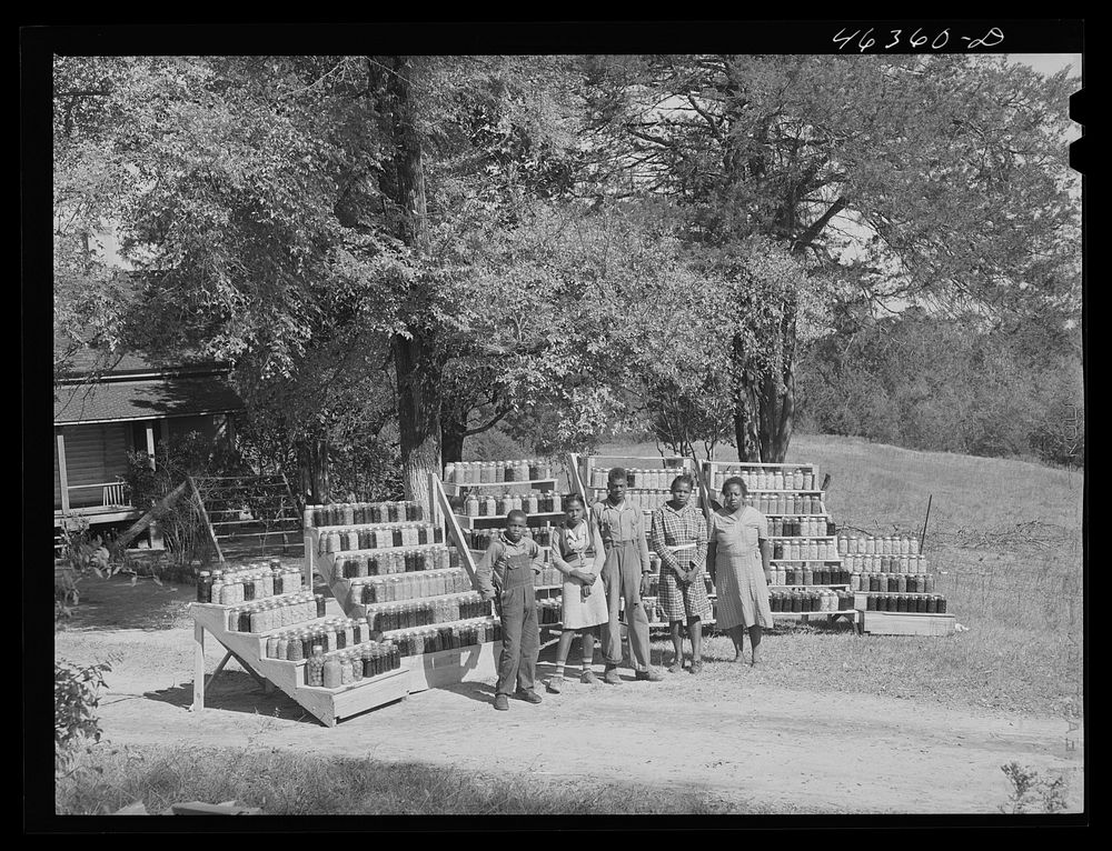 [Untitled photo, possibly related to: FSA (Farm Security Administration) family with the 1000 cans of fruit, vegetables…