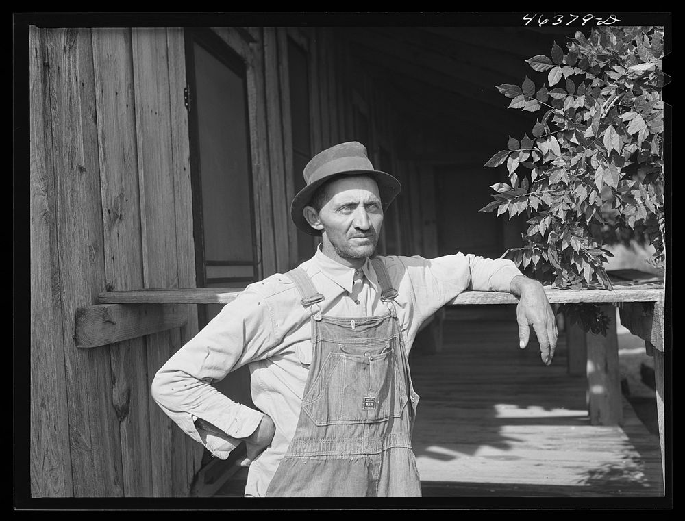 [Untitled photo, possibly related to: Edgar Jones, FSA (Farm Security Administration) client near Woodville, Greene County…